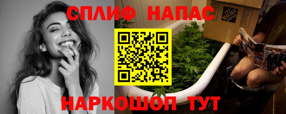 Марихуана сатива Россия